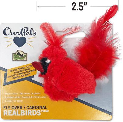 Show full view: OurPets Play-N-Squeak Real Birds Cardinal Cat Toy slide 6 of 9