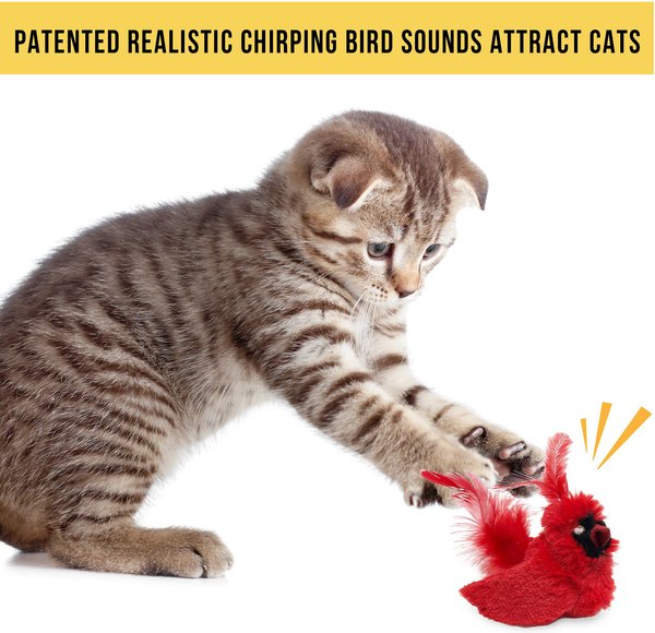Show full view: OurPets Play-N-Squeak Real Birds Cardinal Cat Toy slide 7 of 9
