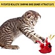 Show in main carousel: OurPets Play-N-Squeak Real Birds Cardinal Cat Toy slide 7 of 9