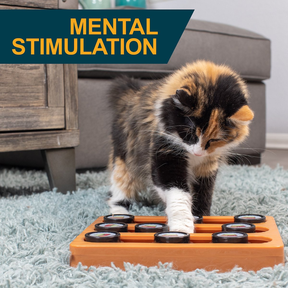 OurPets Play-N-Treat Cat Toy