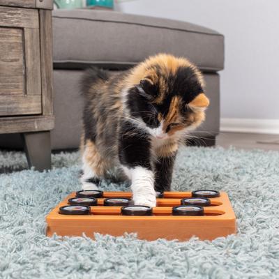 Show full view: OurPets Sushi Treat Dispensing Puzzle Dog & Cat Toy slide 5 of 9