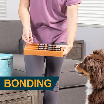 Show full view: OurPets Sushi Treat Dispensing Puzzle Dog & Cat Toy slide 8 of 9