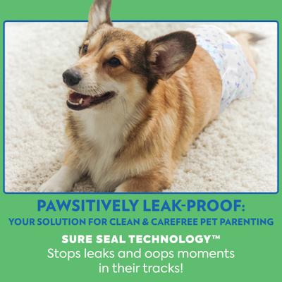 Show full view: OUT! Disposable Male Dog Wraps, Medium/Large: 18 to 25-in waist, 32 count slide 4 of 9