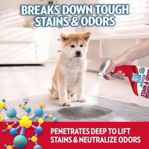 OUT! PetCare Advanced Stain & Odor Remover, 32-fl oz bottle, 2 count
