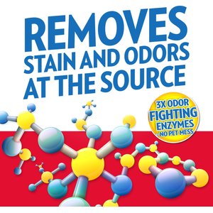 OUT! PetCare Advanced Stain & Odor Remover, 32-fl oz bottle, 2 count