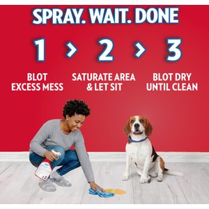 OUT! PetCare Advanced Stain & Odor Remover, 32-fl oz bottle, 2 count