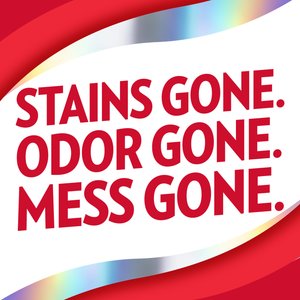 OUT! PetCare Advanced Stain & Odor Remover, 32-fl oz bottle, 2 count