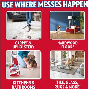 OUT! PetCare Advanced Stain & Odor Remover, 32-fl oz bottle, 2 count