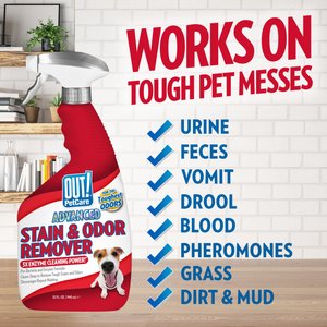 OUT! PetCare Advanced Stain & Odor Remover, 32-fl oz bottle, 2 count