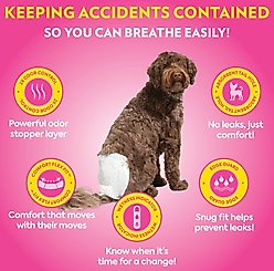OUT! Petcare Disposable Female Dog Diapers, Extra Small/Small: 13 to 18-in waist, 16 count slide 2 of 7
