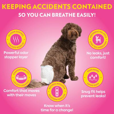 Show full view: OUT! Petcare Disposable Female Dog Diapers, Extra Small/Small: 13 to 18-in waist, 16 count slide 2 of 8