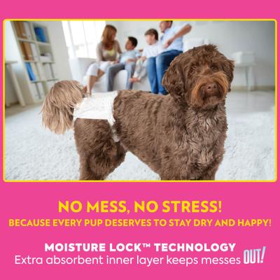 Show full view: OUT! Petcare Disposable Female Dog Diapers, Medium/Large: 18 to 25-in waist, 14 count slide 5 of 8