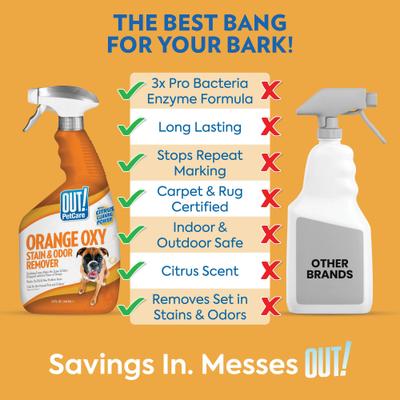 Show full view: OUT! PetCare Orange Dog Oxy Stain & Odor Remover, 32-fl oz bottle slide 3 of 9