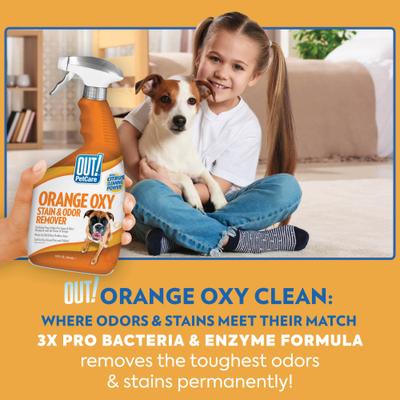 Show full view: OUT! PetCare Orange Dog Oxy Stain & Odor Remover, 32-fl oz bottle slide 5 of 9