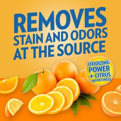 OUT! PetCare Orange Dog Oxy Stain & Odor Remover, 32-fl oz bottle slide 2 of 9