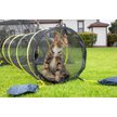 Show in main carousel: Outback Jack Kitty Compound Cat Playpen Tent & Tunnel slide 5 of 8