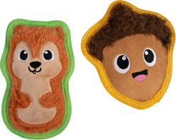 Outward Hound Acorn & Squirrel Tough Skinz Squeaky Plush Dog Toy, 2-Pack, Small