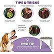 Show in main carousel: Outward Hound Activity Matz Garden Game Puzzle Plush Dog Toy slide 4 of 8