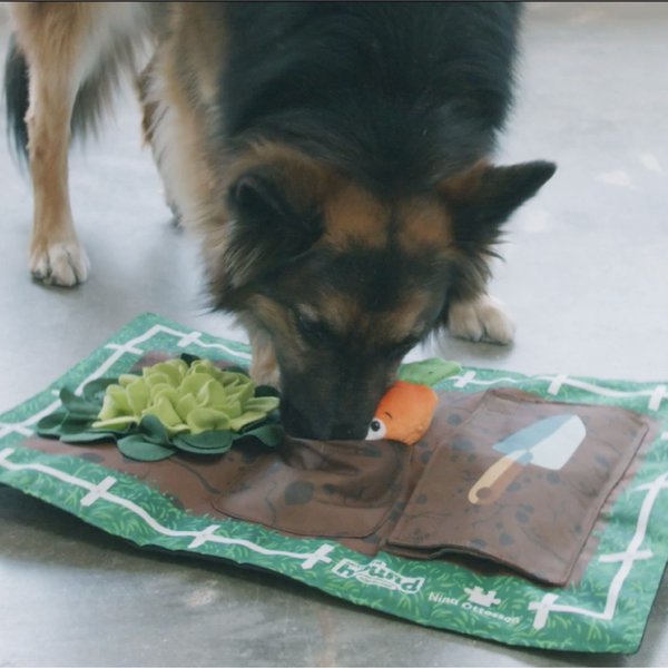 Show full view: Outward Hound Activity Matz Garden Game Puzzle Plush Dog Toy slide 5 of 8
