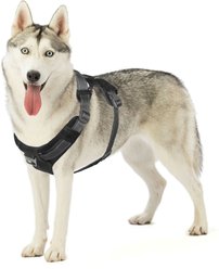 Outward Hound Boulder Adventure Adjustable w/Pockets Dog Harness, Black, Large