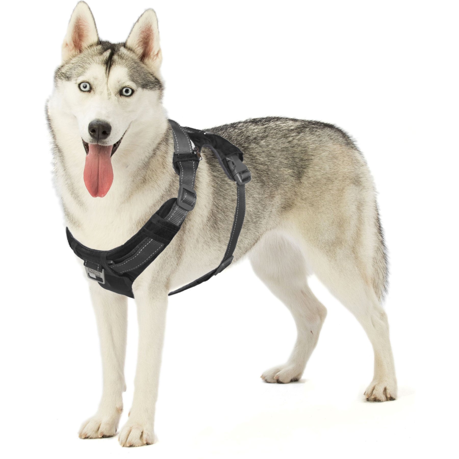 Outward Hound Boulder Adventure Adjustable w/Pockets Dog Harness, Black, Large
