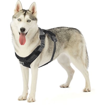 Outward Hound Outward Hound Boulder Adventure Adjustable w/Pockets Dog Harness, Black, Large