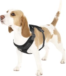 Outward Hound Boulder Adventure Adjustable w/Pockets Dog Harness, Black, Small
