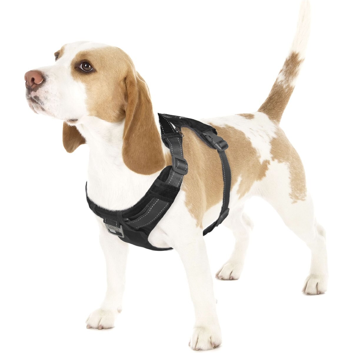 Outward Hound Boulder Adventure Adjustable w/Pockets Dog Harness, Black, Small