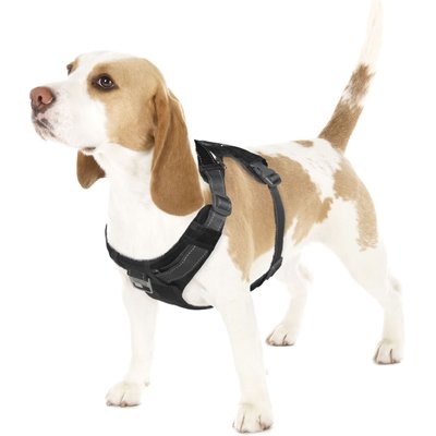 Outward Hound Outward Hound Boulder Adventure Adjustable w/Pockets Dog Harness, Black, Small