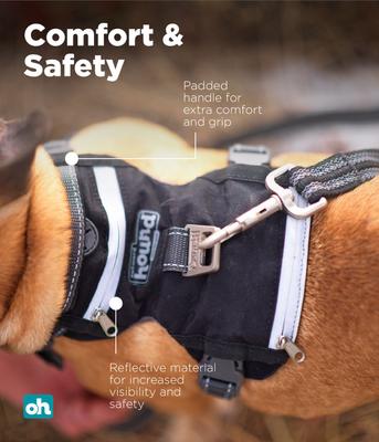 Show full view: Outward Hound Boulder Adventure Adjustable w/Pockets Dog Harness, Black, Small slide 4 of 8