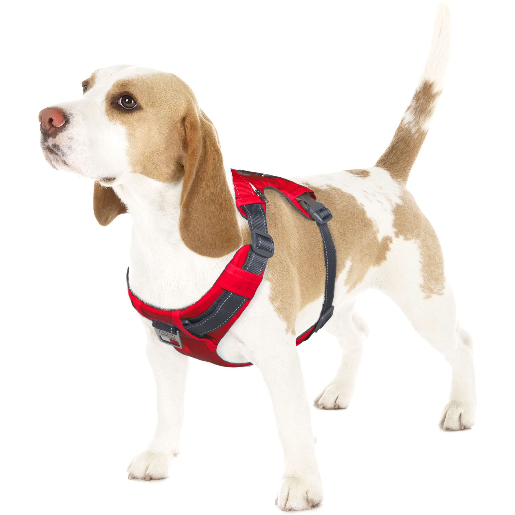 Outward Hound Boulder Adventure Adjustable w/Pockets Dog Harness, Red, Small