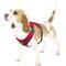 Show in main carousel: Outward Hound Boulder Adventure Adjustable w/Pockets Dog Harness, Red, Small slide 1 of 8