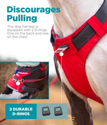 Show full view: Outward Hound Boulder Adventure Adjustable w/Pockets Dog Harness, Red, Small slide 3 of 8