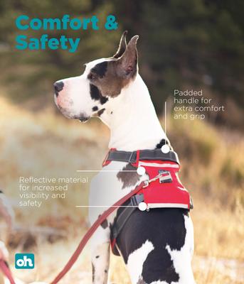 Show full view: Outward Hound Boulder Adventure Adjustable w/Pockets Dog Harness, Red, Small slide 4 of 8