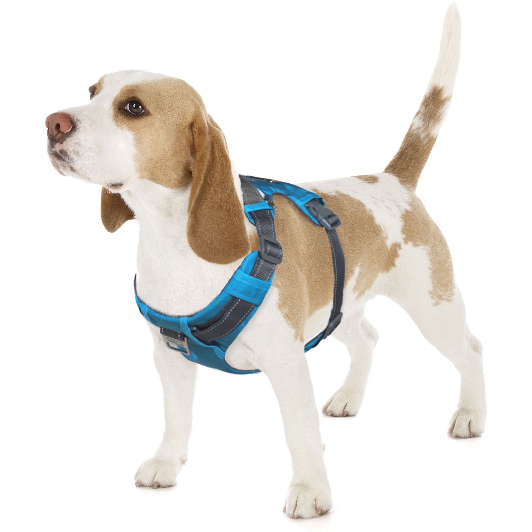 Outward Hound Boulder Adventure Adjustable w/Pockets Dog Harness, Tourqouise, Small