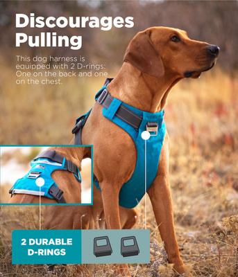 Show full view: Outward Hound Boulder Adventure Adjustable w/Pockets Dog Harness, Tourqouise, Small slide 3 of 8