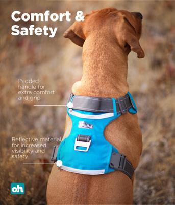 Show full view: Outward Hound Boulder Adventure Adjustable w/Pockets Dog Harness, Tourqouise, Small slide 4 of 8