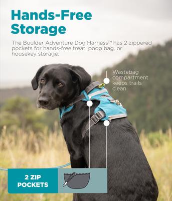 Show full view: Outward Hound Boulder Adventure Adjustable w/Pockets Dog Harness, Tourqouise, Small slide 5 of 8