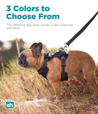 Show full view: Outward Hound Boulder Grip Reflective Dog Leash, Black slide 5 of 7