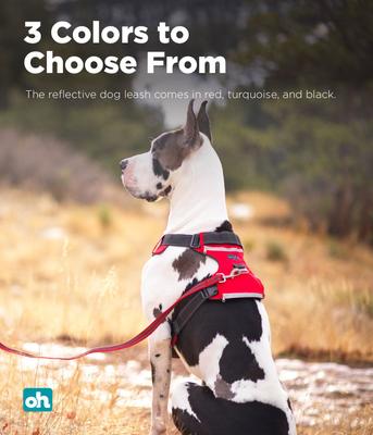 Show full view: Outward Hound Boulder Grip Reflective Dog Leash, Red slide 4 of 6