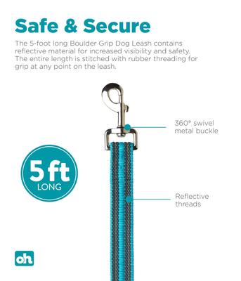 Show full view: Outward Hound Boulder Grip Reflective Dog Leash, Tourqouise slide 3 of 7