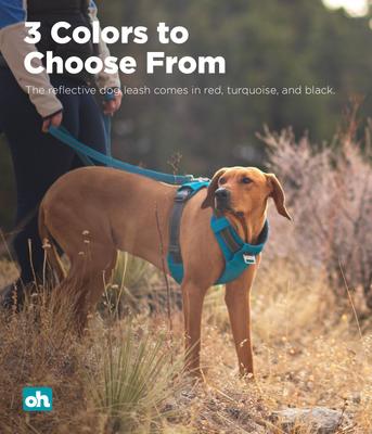 Show full view: Outward Hound Boulder Grip Reflective Dog Leash, Tourqouise slide 5 of 7
