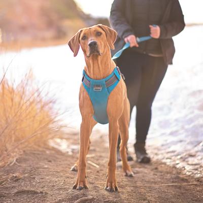 Show full view: Outward Hound Boulder Grip Reflective Dog Leash, Tourqouise slide 6 of 7