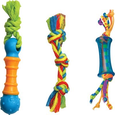 Outward Hound Outward Hound Dental Chew Pack Dog Toy, Petite