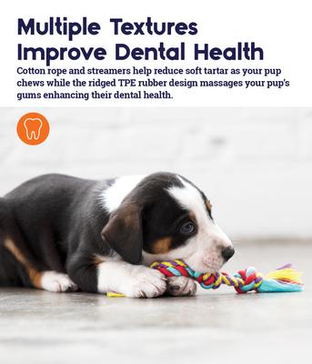 Show full view: Outward Hound Dental Chew Pack Dog Toy, Petite slide 5 of 11