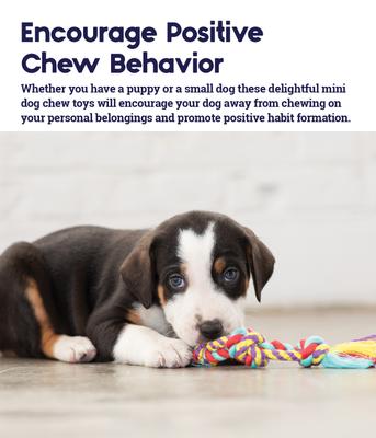 Show full view: Outward Hound Dental Chew Pack Dog Toy, Petite slide 3 of 11