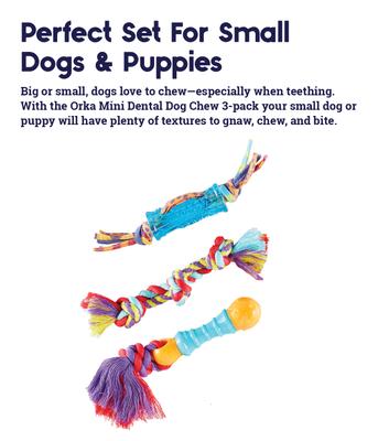 Show full view: Outward Hound Dental Chew Pack Dog Toy, Petite slide 2 of 11