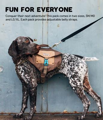 Show full view: Outward Hound Denver Urban Dog Pack, Brown, Small/Medium slide 4 of 9