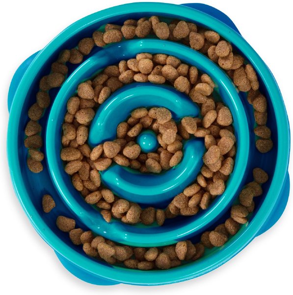 Outward Hound Slow Feeder Dog Bowl