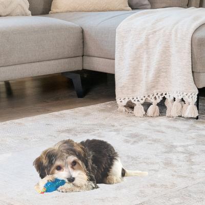 Show full view: Outward Hound Orka Chew Pair Dog Toy, Petite slide 4 of 7